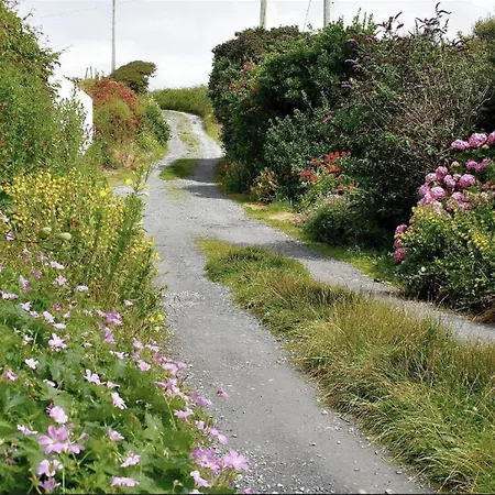 Spectacular Ocean Views & Minutes To Cliffs- Clahane Shore * 리스카노