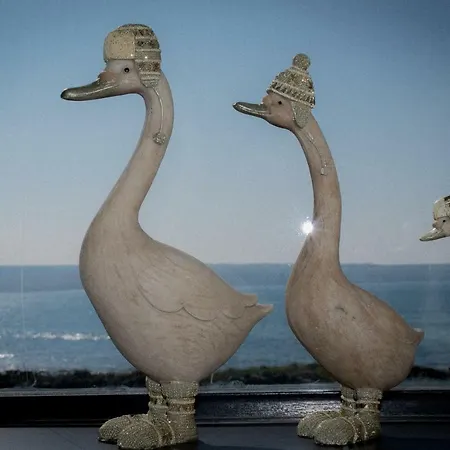 Spectacular Ocean Views & Minutes To Cliffs- Clahane Shore Dom wakacyjny Liscannor